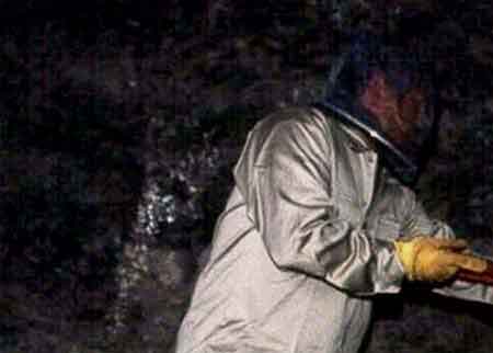 Máscara y guantes para protección de abejas africanas.