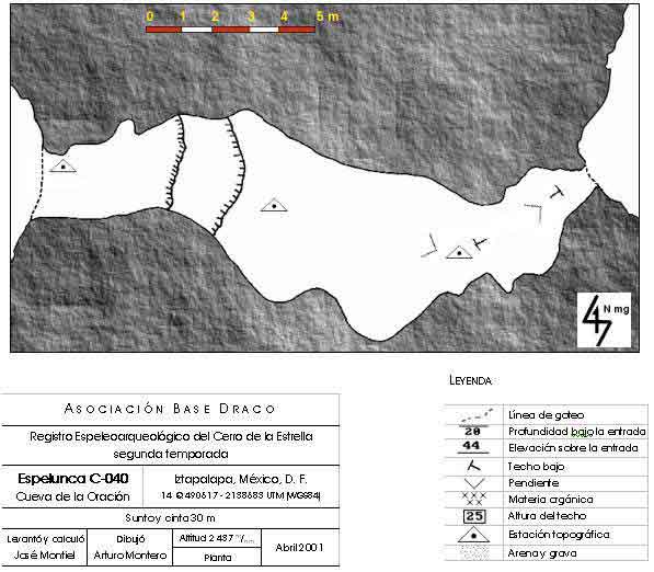 Planta de un túnel de lava C-040