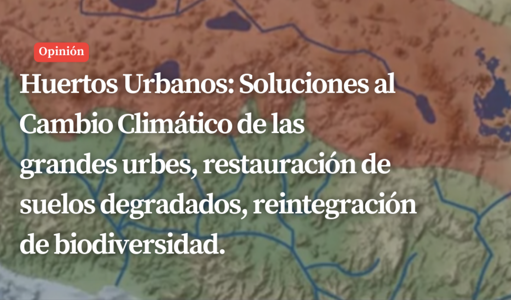 Huertos Urbanos: Soluciones al Cambio Climático